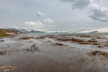 Varto - Mus City / Turkey. Messengers of spring, Snowdrops and Purple Irıs in Hamurpet Lake, Varto - Mus.