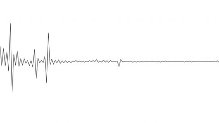 A simple black and white audio visualization effect; black soundwave on white background