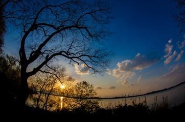 夕焼けの水面と草木