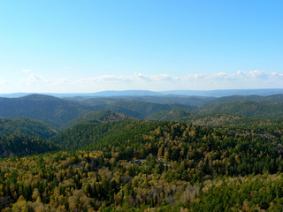 Fototapeta na wymiar Mountains covered with forest in autumn