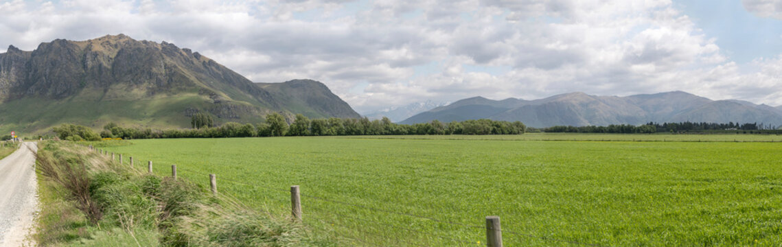 Castle Hill and Trotters Plain in green countryside, near Fairlight, New Zealand
