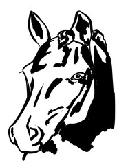 an illustration of a horse