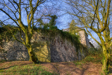 Mittelalterliche Burg in Essen Horst