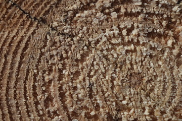 close up of a wooden surface