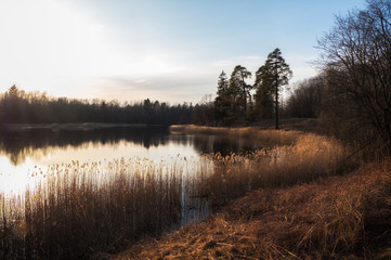 Peaceful evening landscape with a lake in early spring