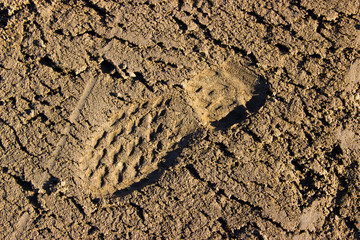
Footprint on clay sand