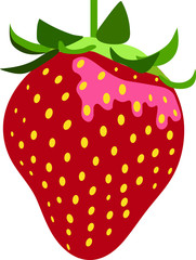 strawberry vector illustration