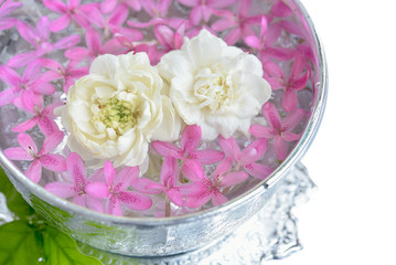 Obraz na płótnie Canvas Thai jasmine white flower isolated on white background.This has clipping path. 