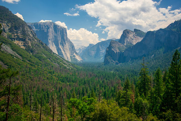 Beautiful view of Yosemite National Park