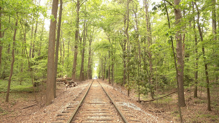 Railway tracks through the forest of Stone Mountain