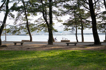 Obraz premium 公園