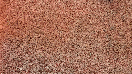 Old and dirty brown plastic doormat texture background