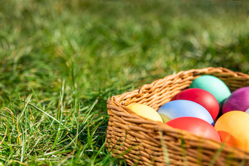 Multi-colored Easter eggs in a basket on the grass, the background is blurred, shallow depth of field, selective focus. Easter holiday concept