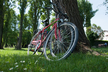 Fototapeta premium Lake Garda and Verona!
