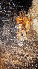 rusty screw