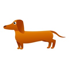 Dachshund puppy icon. Cartoon of dachshund puppy vector icon for web design isolated on white background