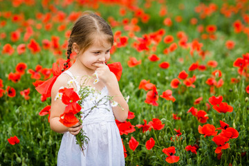 Obraz na płótnie Canvas Cute child girl in poppy field