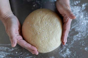artisanal baking: hand kneading dough