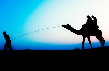 silhouette of a camel ride
