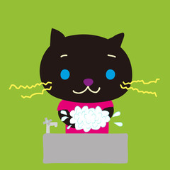 手を洗うかわいいこねこ
A cute little cat washing hands