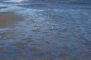 Photograph of Yaotomi Shrine and Mikawa Bay. Yaotomi Shrine is also called Takeshima Benten.
