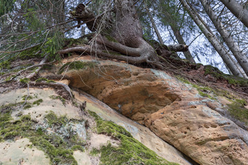 City Sigulda, Latvia. Historic sand cliffs and trees. Travel photo.