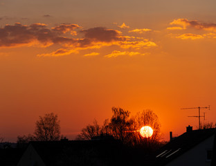 sunset in the city