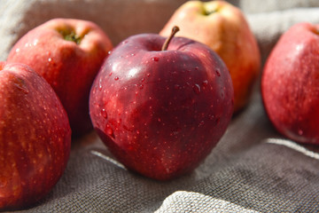 ripe red apples in water drops close up