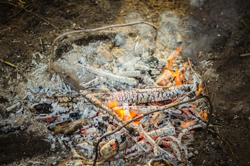 Bonfire in the forest. Burning fire. Ignite the fire. Macro shot of bonfire, white smoke, hot, glowing coal and fire. Burning branches and wood.  Warmth, love, romantic. Spring cleaning,  picnic. 