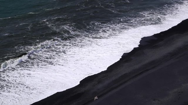 Black sand beach coastline and sea waves in Iceland. White swells waves from top view point. Whitewasch waves