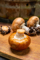 Cave brown champignon mushrooms ready to eat