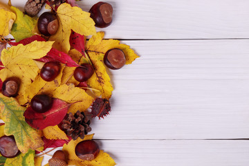 Autumn composition with acorns, chestnuts, fir cones and maple yellow leaves around on white wooden...