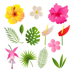 tropical elements of flowers and leaves vector illustration