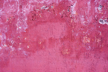 pink plaster Wall Texture. Pastel Background. Abstract Painted Wall Surface.
