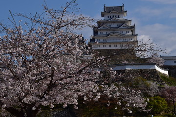 春の姫路城