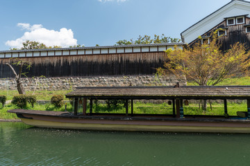 京都伏見 桜風景
