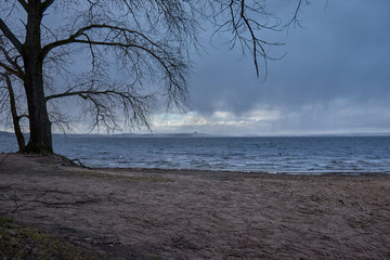 
In the foreground the seashore and trees, in the background the sea in bad weather