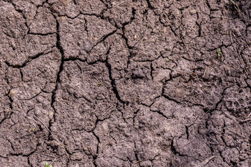 Drought, land with cracks without water, background texture, dry land
