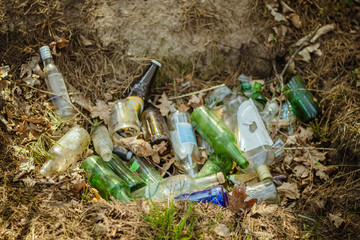 Global environmental disaster. Trash and broken dirty bottles in the forest. Pollution and environmental issues. Landfill in the forest on a background of trees. Illegal picnics. Trash in the park.