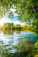 Landscape pond and forest