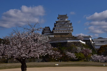 春の姫路城
