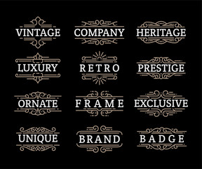 Obraz premium Vintage ornaments swirls and scrolls decorations design elements vector set