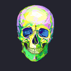 illustration of colorful skull, vintage graphics for t-shirt designs