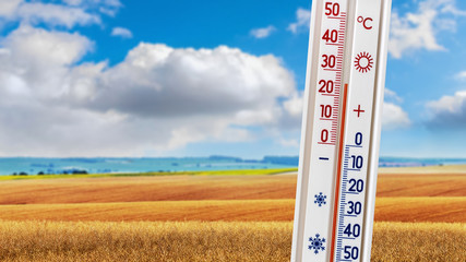The thermometer on the background of the summer field shows plus 25 degrees