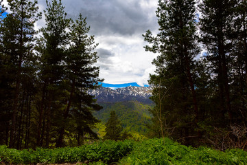 Beautiful mountain panorama with lush greens, blue skies, and puffy clouds