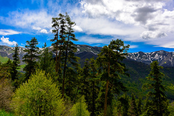 Beautiful mountain panorama with lush greens, blue skies, and puffy clouds