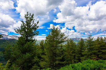Beautiful mountain panorama with lush greens, blue skies, and puffy clouds