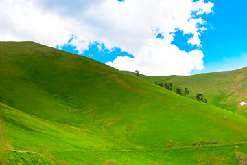 Beautiful mountain panorama with lush greens, blue skies, and puffy clouds