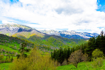 Beautiful mountain panorama with lush greens, blue skies, and puffy clouds