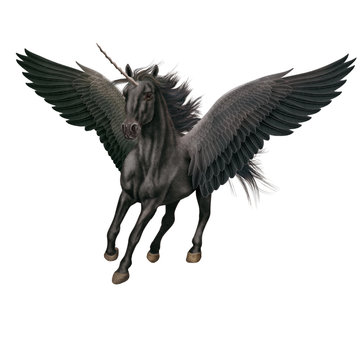 cheval, animal, en vol, volant, licorne, isol&eacute;, noir   &eacute;talon, mammif&egrave;re, course, , galop, sauvage, chevalin, amoureux des chevaux, courir, ferme, crin, silhouette, nature, poney, dalmate, animal de c